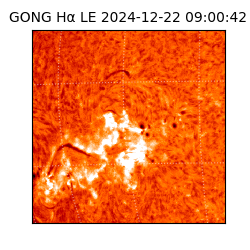 gong - 2024-12-22T09:00:42