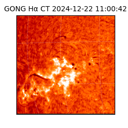 gong - 2024-12-22T11:00:42