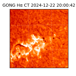 gong - 2024-12-22T20:00:42