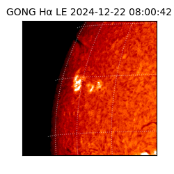 gong - 2024-12-22T08:00:42