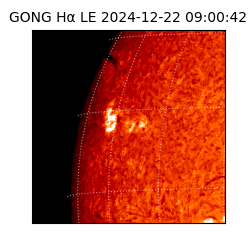 gong - 2024-12-22T09:00:42