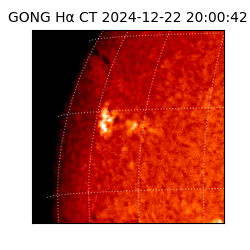 gong - 2024-12-22T20:00:42