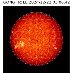 gong - 2024-12-22T03:00:42