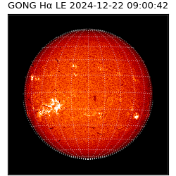 gong - 2024-12-22T09:00:42