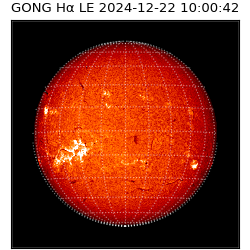 gong - 2024-12-22T10:00:42