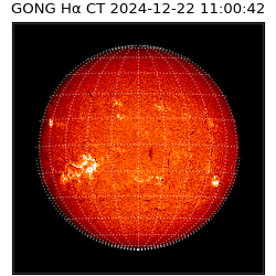 gong - 2024-12-22T11:00:42