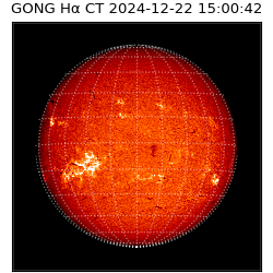 gong - 2024-12-22T15:00:42