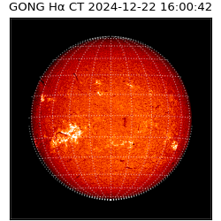 gong - 2024-12-22T16:00:42