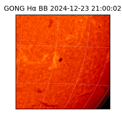 gong - 2024-12-23T21:00:02
