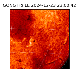 gong - 2024-12-23T23:00:42