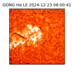 gong - 2024-12-23T08:00:42