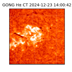 gong - 2024-12-23T14:00:42
