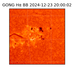 gong - 2024-12-23T20:00:02