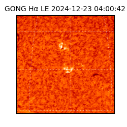 gong - 2024-12-23T04:00:42