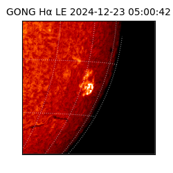 gong - 2024-12-23T05:00:42
