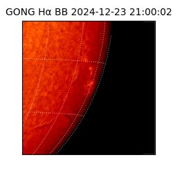 gong - 2024-12-23T21:00:02