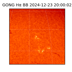 gong - 2024-12-23T20:00:02