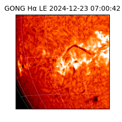 gong - 2024-12-23T07:00:42