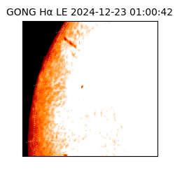 gong - 2024-12-23T01:00:42