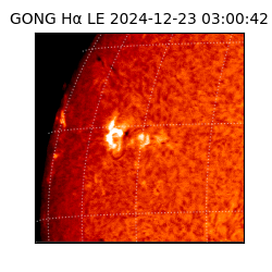 gong - 2024-12-23T03:00:42