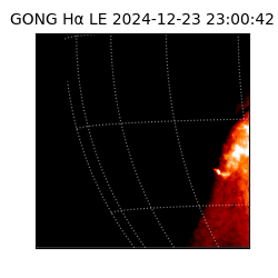 gong - 2024-12-23T23:00:42