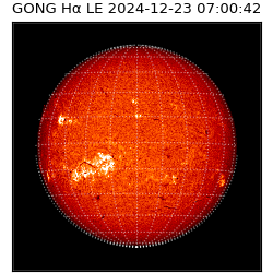 gong - 2024-12-23T07:00:42