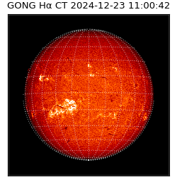 gong - 2024-12-23T11:00:42
