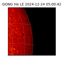 gong - 2024-12-24T05:00:42