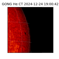 gong - 2024-12-24T19:00:42