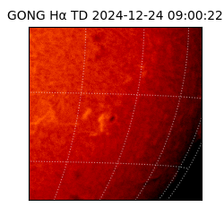 gong - 2024-12-24T09:00:22
