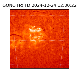gong - 2024-12-24T12:00:22