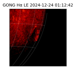 gong - 2024-12-24T01:12:42