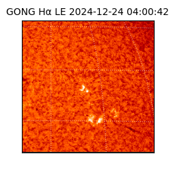 gong - 2024-12-24T04:00:42
