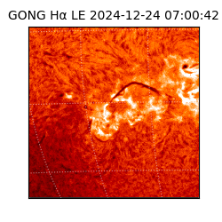 gong - 2024-12-24T07:00:42