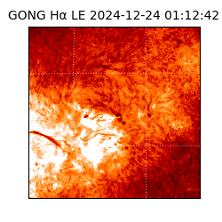 gong - 2024-12-24T01:12:42