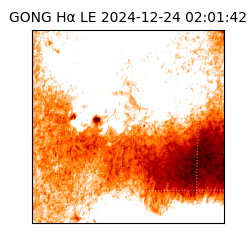 gong - 2024-12-24T02:01:42