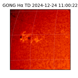 gong - 2024-12-24T11:00:22