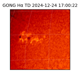 gong - 2024-12-24T17:00:22