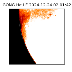 gong - 2024-12-24T02:01:42