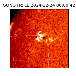 gong - 2024-12-24T06:00:42