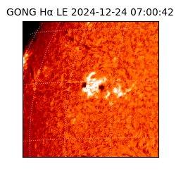 gong - 2024-12-24T07:00:42