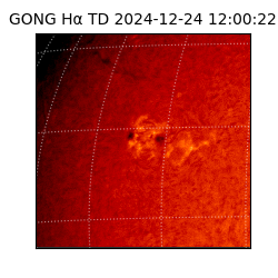 gong - 2024-12-24T12:00:22