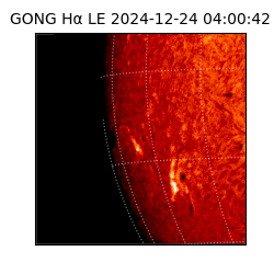 gong - 2024-12-24T04:00:42