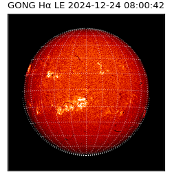 gong - 2024-12-24T08:00:42