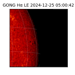gong - 2024-12-25T05:00:42