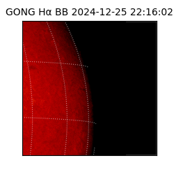 gong - 2024-12-25T22:16:02