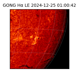 gong - 2024-12-25T01:00:42