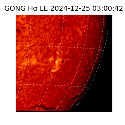gong - 2024-12-25T03:00:42