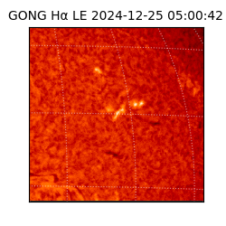 gong - 2024-12-25T05:00:42