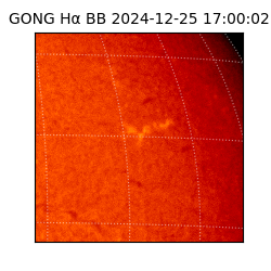 gong - 2024-12-25T17:00:02